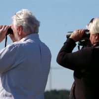 binoculars-g99ac948bc_640